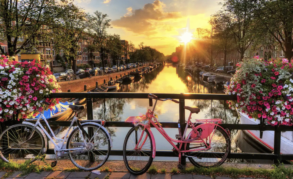 RHINE River Cruise Ama waterways by Yellow Umbrella Travel