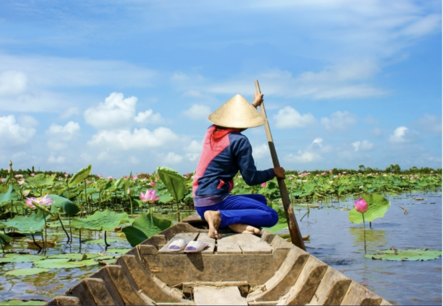 AmaWaterways River Cruises,