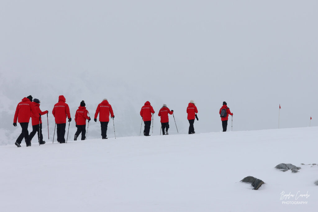 Silversea Antarctica Expedition Yellow Umbrella Travel