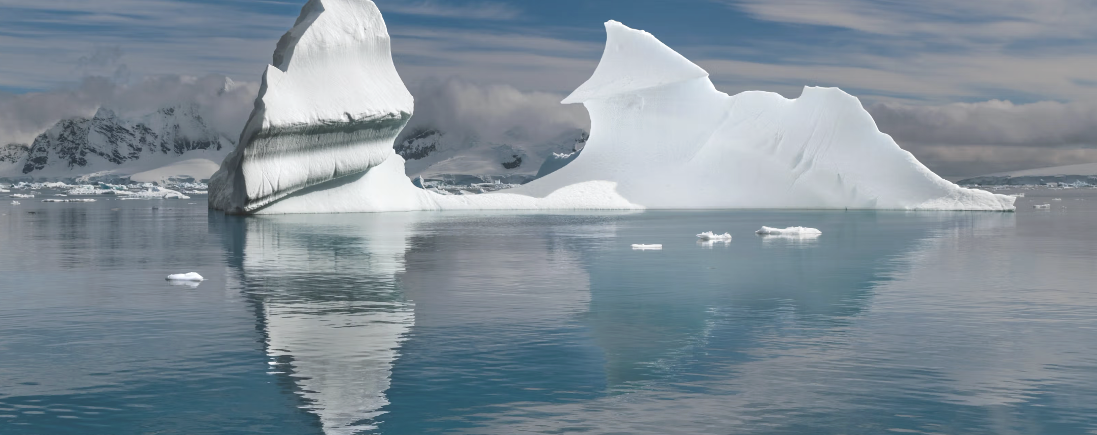 Silversea Antarctica Expedition Cruise for Yellow Umbrella Travel