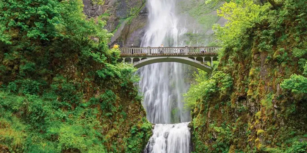 Photo of Multnomah Falls cascading under a stone footbridge nestled in lush forest