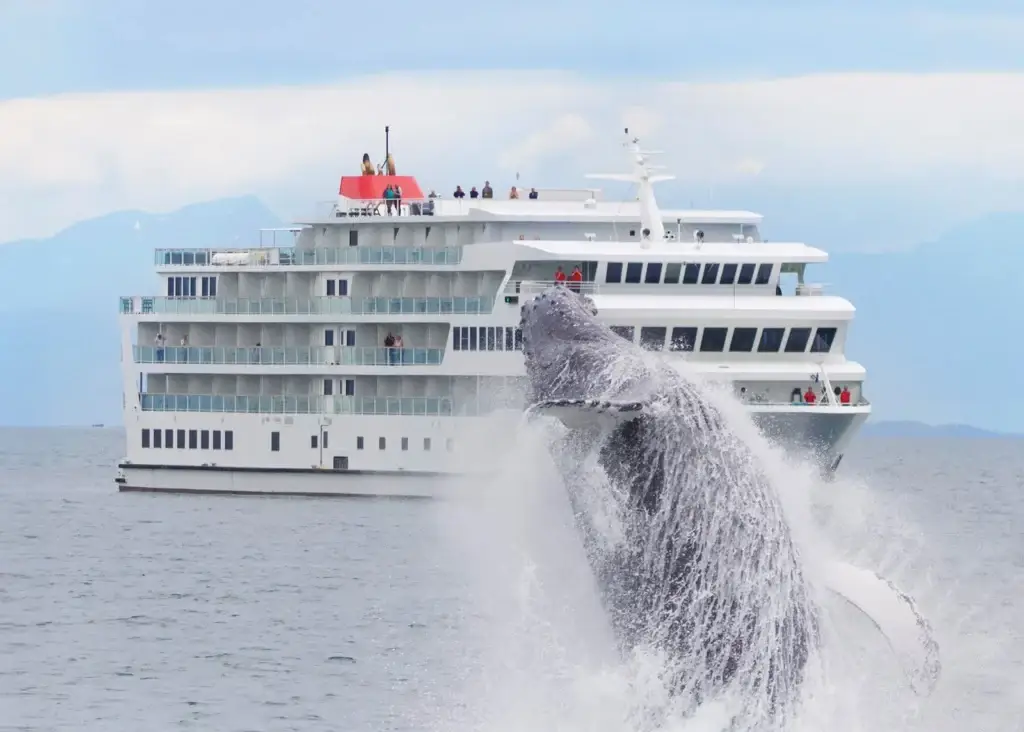 Photo of breaching whale in front of ship booked by Alaska cruise travel agent