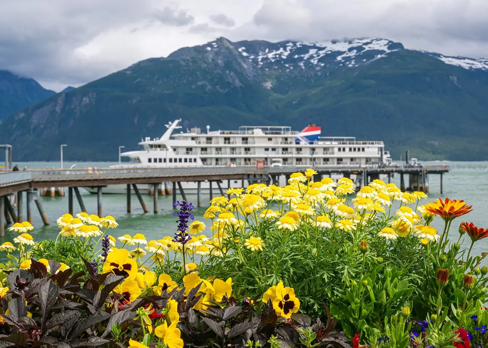 Photo of American Constellation docked at port framed by yellow flowers